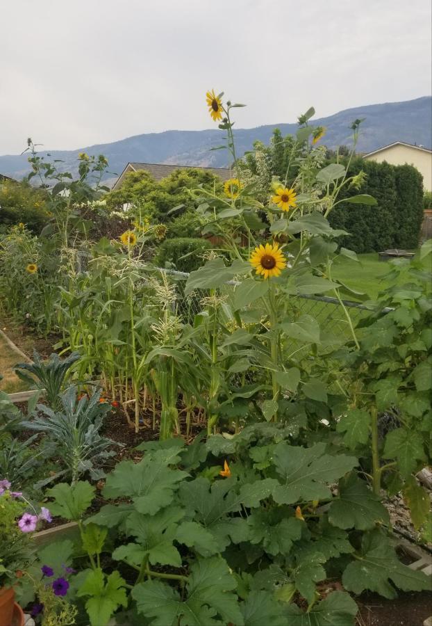 Global Village Permaculture Bnb オリバー エクステリア 写真